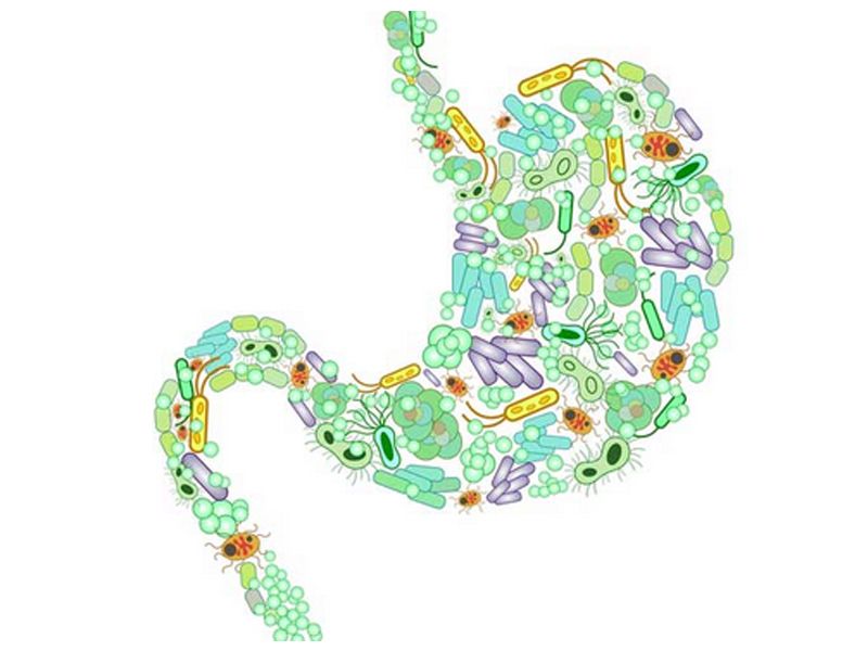 Read more about the article 新发现：「神药」二甲双胍降糖新机制