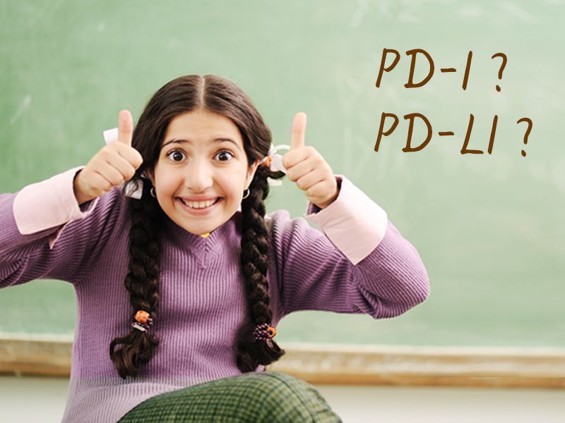 Nature video超好玩小视频解读PD-1/PD-L1