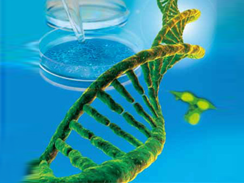 Read more about the article 罗氏新一代转染试剂Go Xtreme!