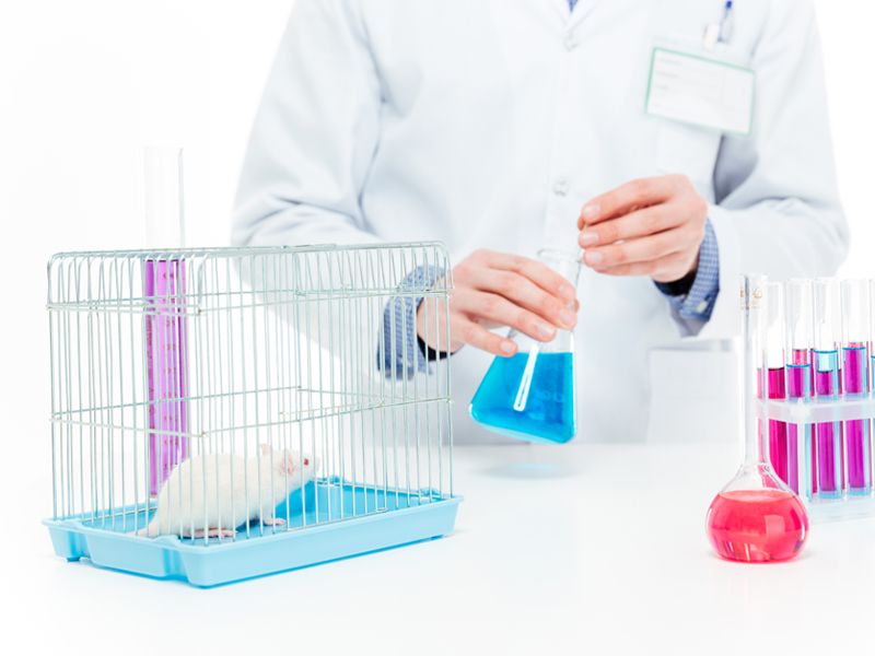 Read more about the article ELISA 组织样本的处理—大鼠组织