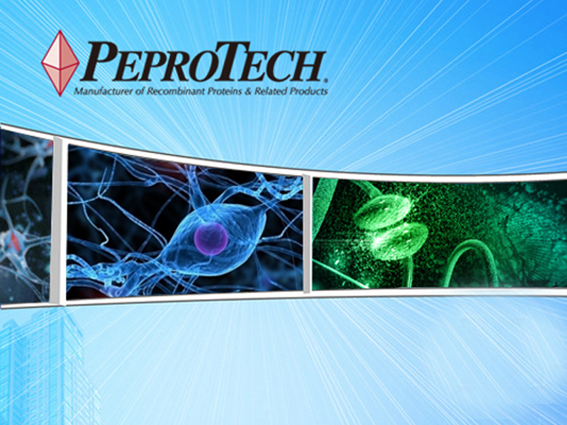 Read more about the article PeproTech产品推荐：多效性细胞因子IL-21