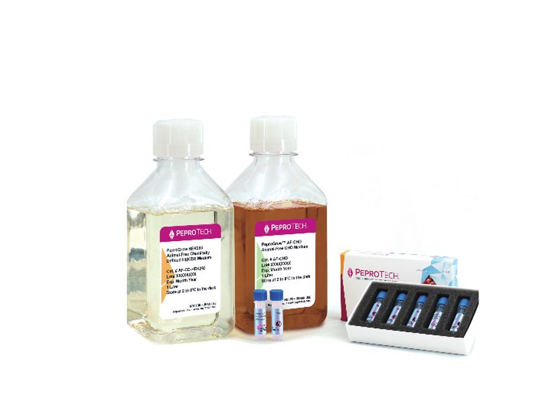 Read more about the article Animal Free！！来不及解释了，快上车