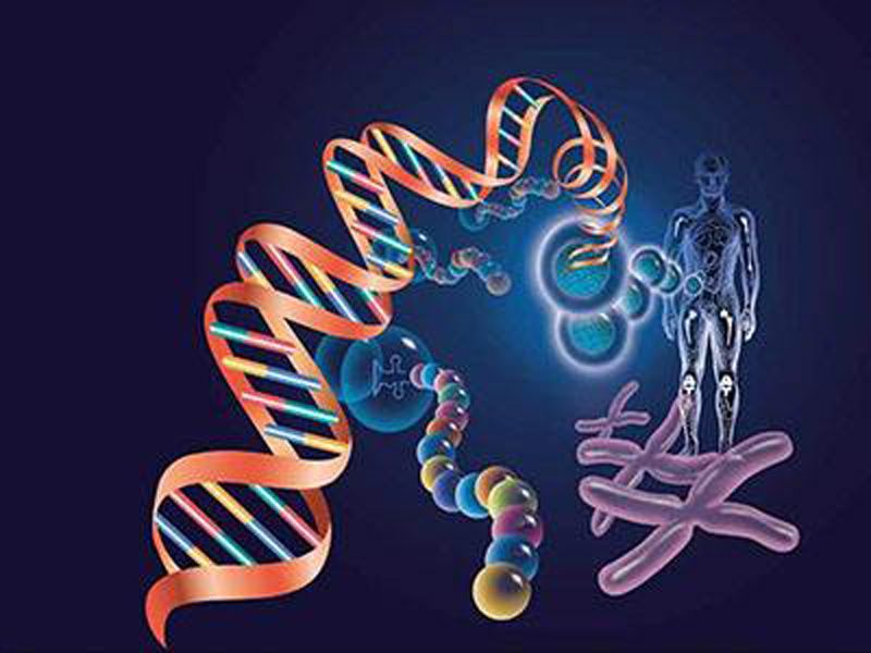 Read more about the article 人骨形态发生蛋白-7 ELISA检测试剂盒