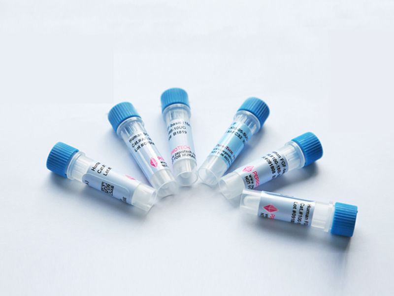 Read more about the article 【视频】PeproTech细胞因子溶解稀释方法