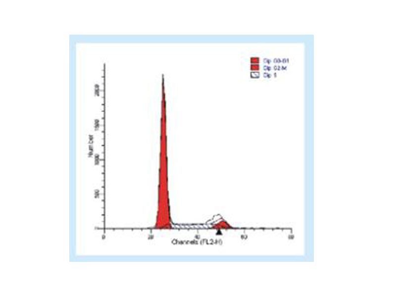Read more about the article 联科生物现货供应：抗体稀释液