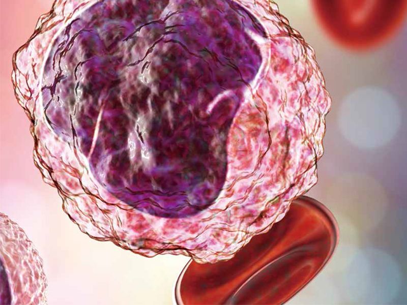 Read more about the article 趋化因子：生理和病理生理学的多方面调节因子