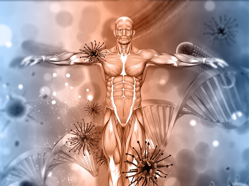 Read more about the article 细胞凋亡与肿瘤、衰老、自身免疫性疾病