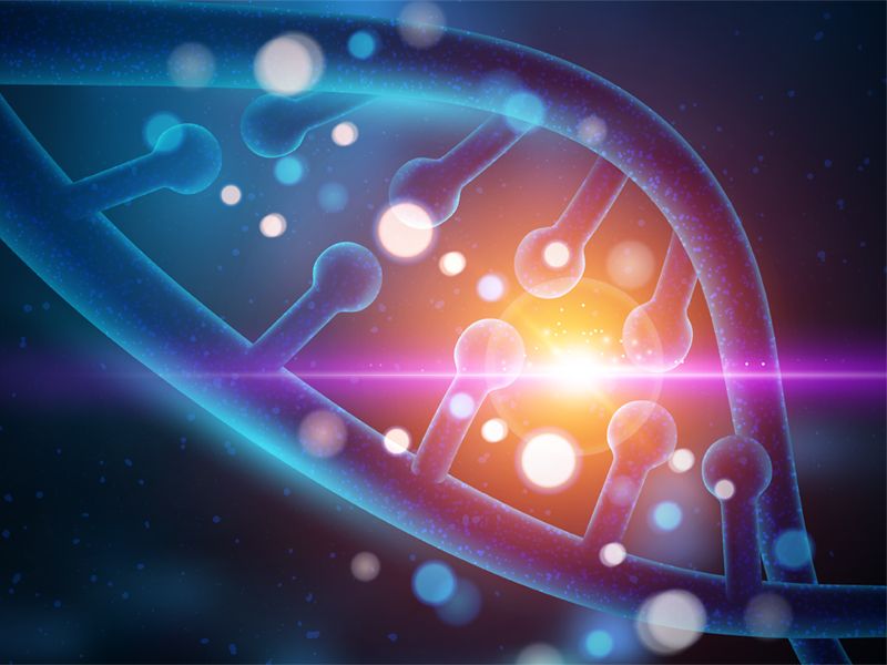 Read more about the article 科研前因子，第三节课开讲啦！