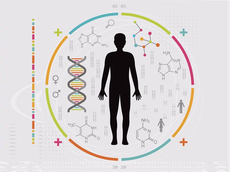 Read more about the article 联科新品：人白细胞介素33 ELISA试剂盒