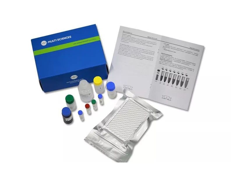 Read more about the article 人sICAM-3/CD50、人BMP-9 ELISA试剂盒