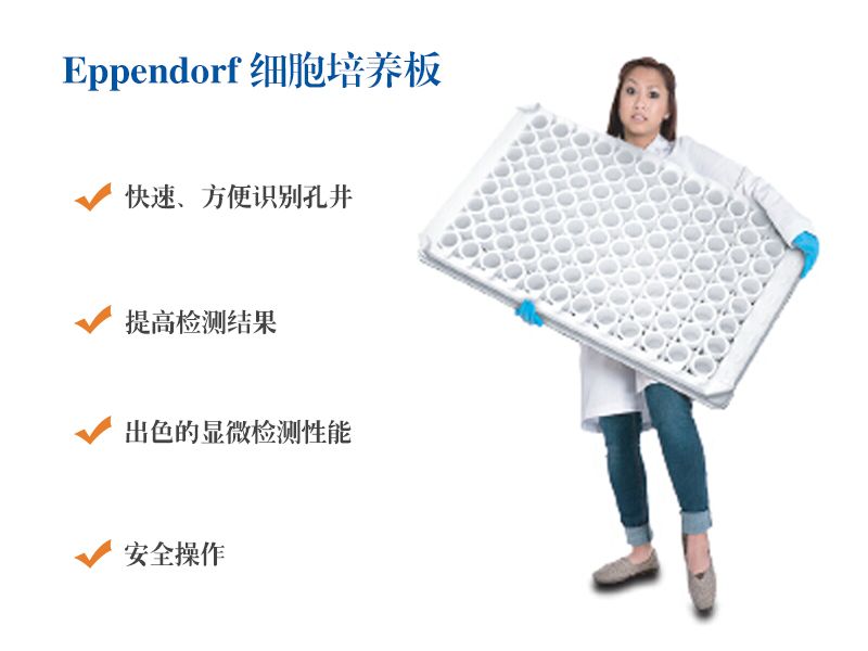 Read more about the article 细胞培养板助你细胞检测1秒升级，不再辣眼睛！