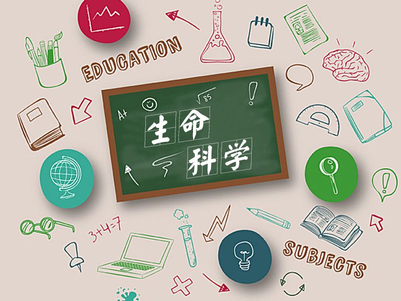 Read more about the article 联科手记：苏大材料展之生命科学新体验