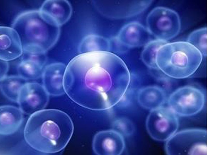 Read more about the article 受体推荐：人TrkA/NTRK1  ELISA检测试剂盒