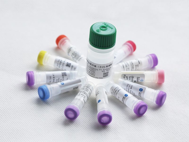 Read more about the article PeproTech重组细胞因子和蛋白溶解稀释方法