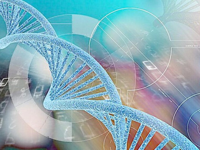 Read more about the article 硫氧还蛋白推荐：人Trx-1  ELISA检测试剂盒