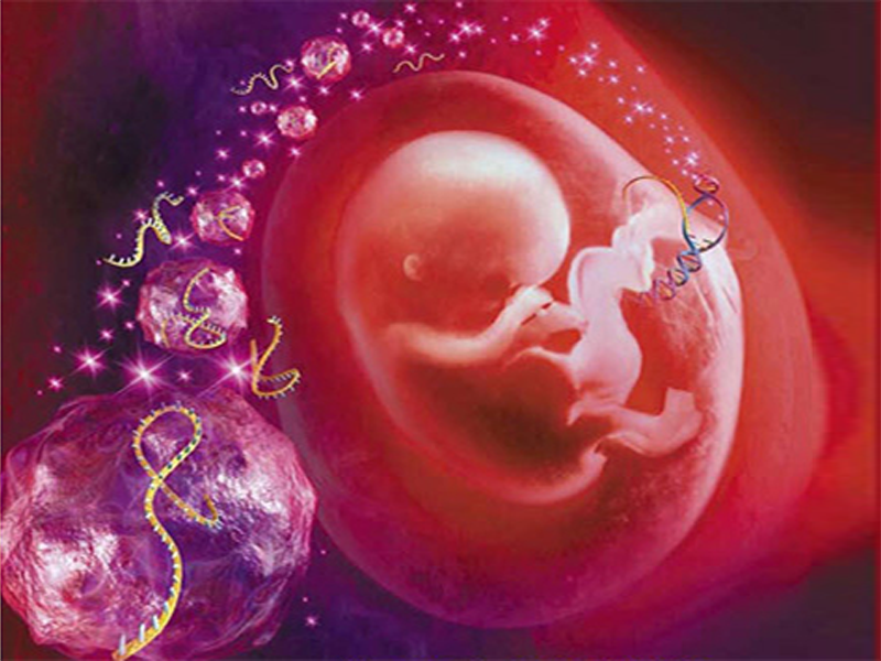 Read more about the article 免疫球蛋白推荐：人IgG  ELISA检测试剂盒