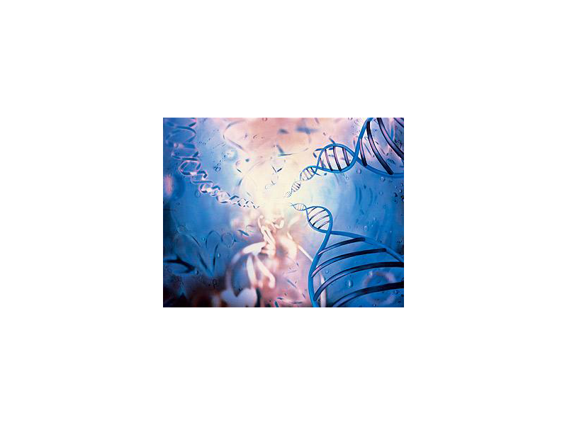 Read more about the article 诱导因子推荐：小鼠 IL-18 ELISA检测试剂盒