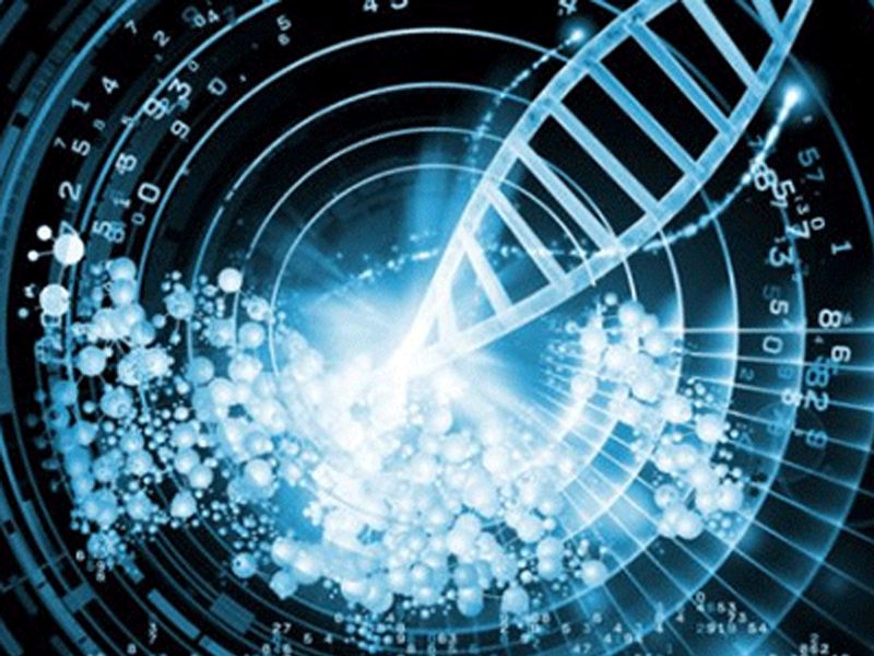 Read more about the article 细胞因子推荐：小鼠 IL-16ELISA检测试剂盒