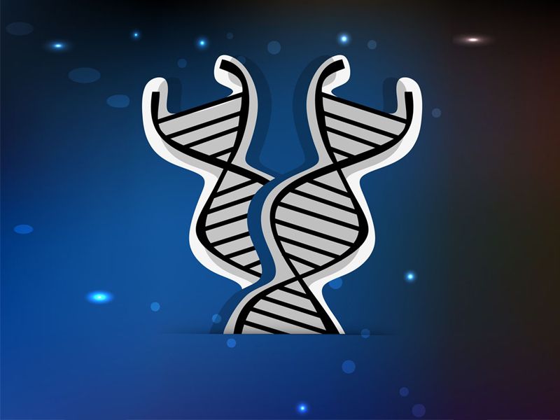 Read more about the article BioVision的DNA纯化试剂盒，值得一试