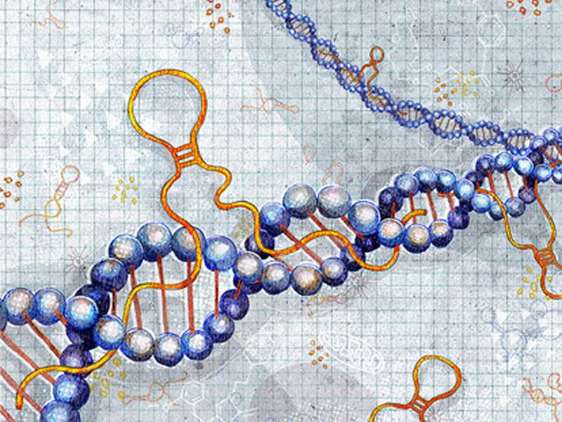 Read more about the article 分化簇推荐：Human CD19 ELISA检测试剂盒