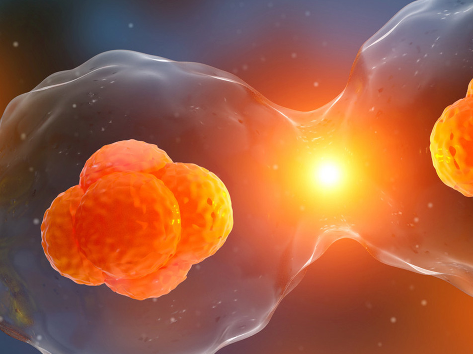 Read more about the article 开学学习计划，如何收集ELISA检测样本——细胞