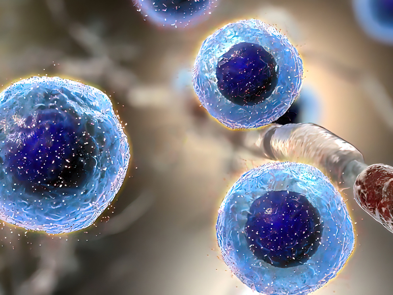 Read more about the article 新品速递 | Mouse FGF basic/FGF2/bFGF ELISA Kit