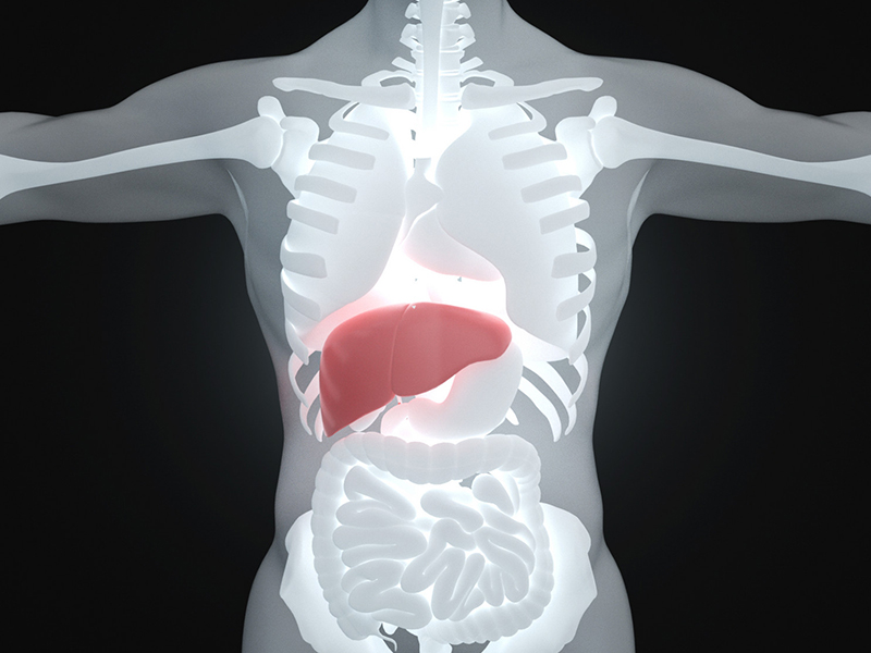 Read more about the article 论文分享 | Cell子刊：膳食纤维通过肠道菌群减轻酒精性肝病