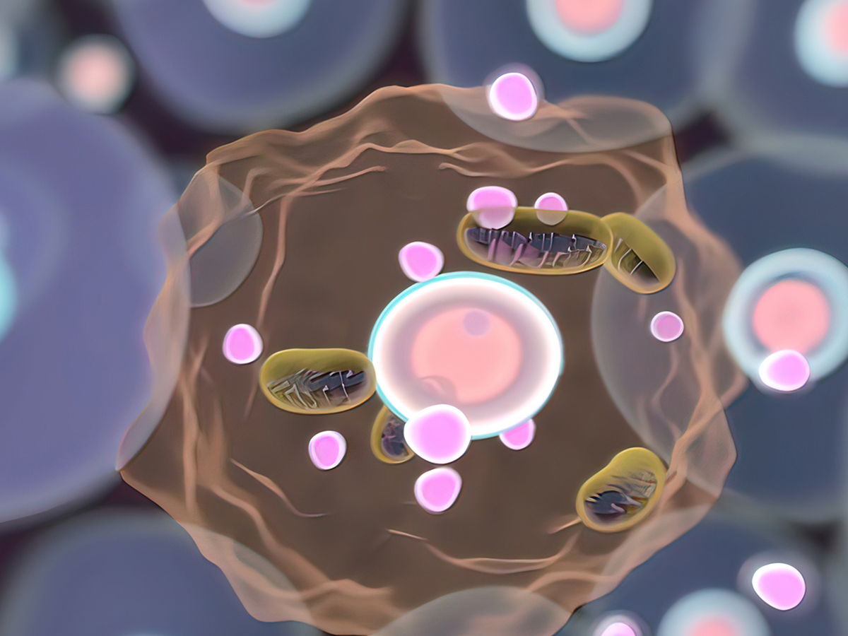 Read more about the article 流式凋亡试剂盒选择 —— 选对工具，成功一半