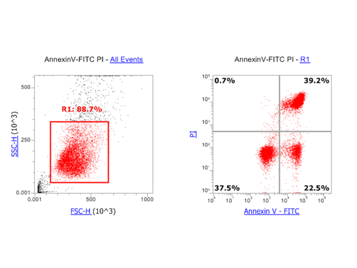 Read more about the article 流式凋亡数据分析实操：2步搞定Annexin V凋亡结果