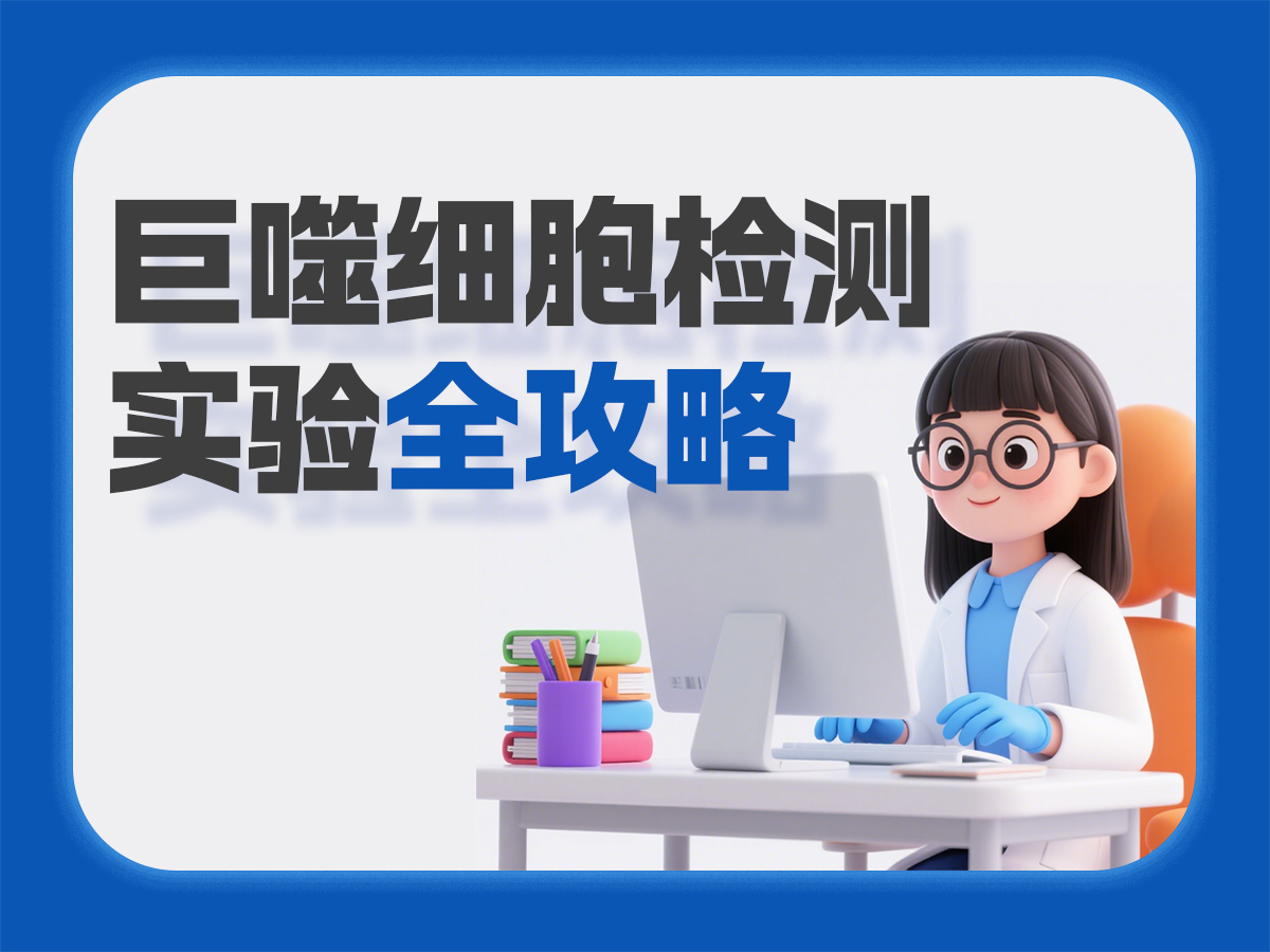 巨噬细胞检测实验全攻略：从技术要点到试剂选型，告别实验踩坑